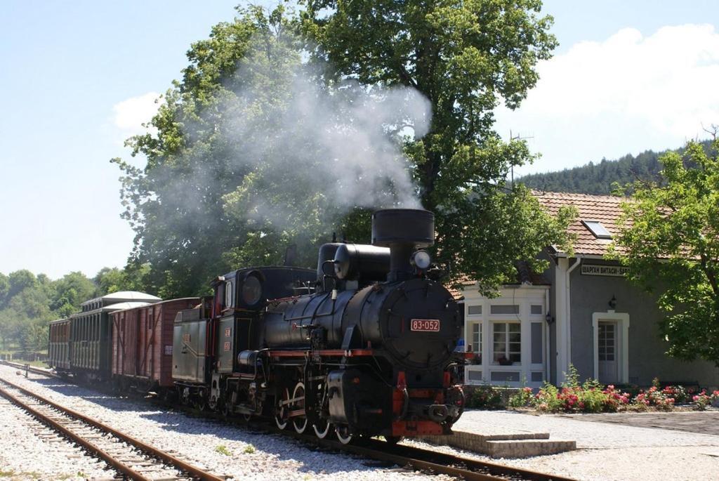 Kuca Karajic Villa Kremna Esterno foto